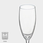 Бокал-флюте для шампанского Chef&Sommelier CABERNET, 190 мл, стекло - Фото 2