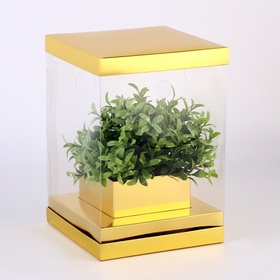 Коробка для цветов и букетов, с вазой и PVC окнами складная, 16×23×16 см, золото