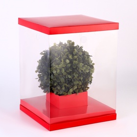 Коробка для цветов и букетов, с вазой и PVC окнами складная, 23×30×23 см, однотонный, красный