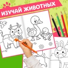 Раскраски для малышей набор «Животные», с карандашами 6 цветов, 2 шт. по 16 стр. 10848384 - фото 14052516