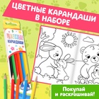 Раскраски для малышей набор «Животные», с карандашами 6 цветов, 2 шт. по 16 стр. 10848384 - фото 14052517