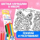 Раскраски для девочек набор «Пони», с карандашами 6 цветов, 2 шт. по 16 стр. 10848388 - фото 14052527