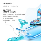 Снегокат «Тимка спорт 4-1 Кошечки-собачки», ТС4-1/K-C1 - Фото 4