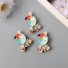 Декор для творчества дерево «Прищепка. Тукан на листе монстеры», набор 3 шт., 1.3×3.7×4.5 см - Фото 1