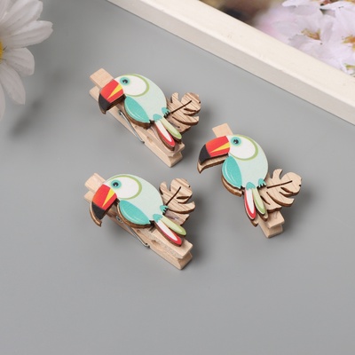 Декор для творчества дерево «Прищепка. Тукан на листе монстеры», набор 3 шт., 1.3×3.7×4.5 см