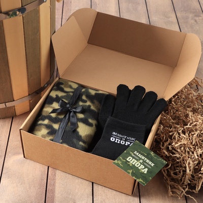 Набор подарочный "Защитник и опора" плед, носки, перчатки