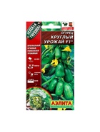 Семена Огурец "Круглый урожай" F1, ц/п,  10 шт 10838779 - фото 16363356
