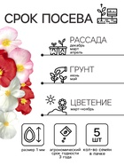 Бегония Бада бум F1, смесь сортов 5 шт (2027; 71.96.02 /1) - Фото 2