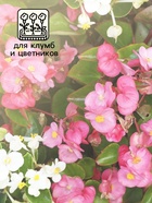 Бегония Бада бум F1, смесь сортов 5 шт (2027; 71.96.02 /1) - Фото 3