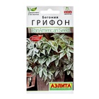 Семена цветов Бегония "Грифон", ц/п, 3 шт - Фото 1