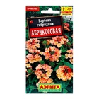 Семена цветов Вербена "Абрикосовая", ц/п, 10 шт - Фото 1