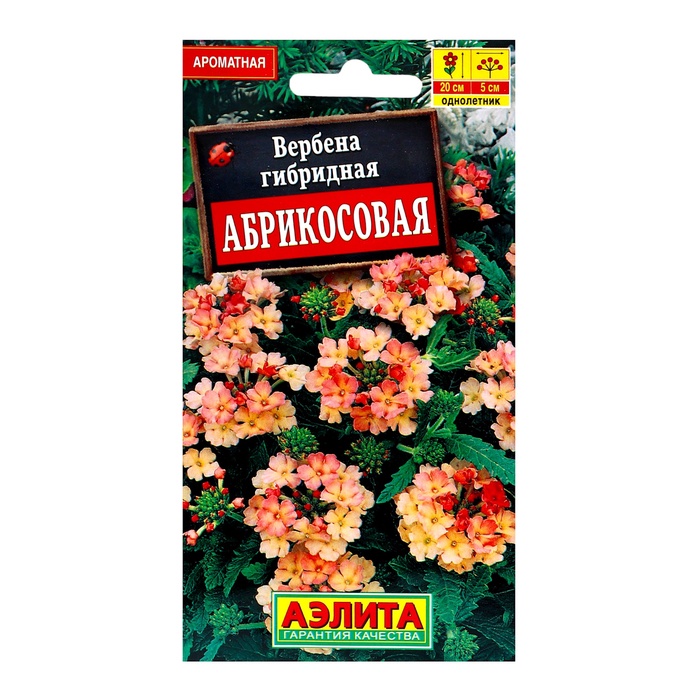 Семена цветов Вербена "Абрикосовая", ц/п, 10 шт - Фото 1