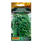 Семена цветов Дихондра "Волшебник Изумрудного города", ц/п, 3 шт - Фото 1