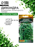 Семена цветов Дихондра «Волшебник Изумрудного города», 3 шт. - Фото 1