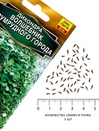 Семена цветов Дихондра «Волшебник Изумрудного города», 3 шт. - Фото 4