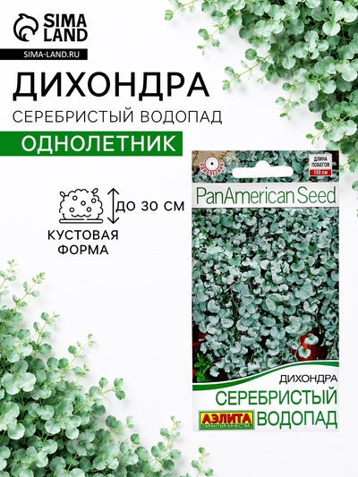 Семена цветов Дихондра «Серебристый водопад», 3 шт.