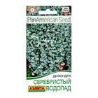 Семена цветов Дихондра «Серебристый водопад», 3 шт. - Фото 5
