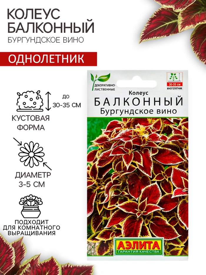 Семена цветов Колеус балконный "Бургундское вино", ц/п, 5 шт - Фото 1