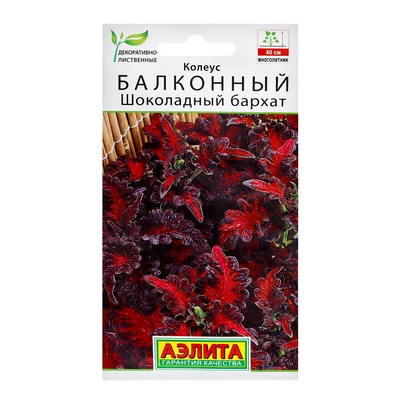 Семена цветов Колеус балконный "Шоколадный бархат", ц/п, 5 шт