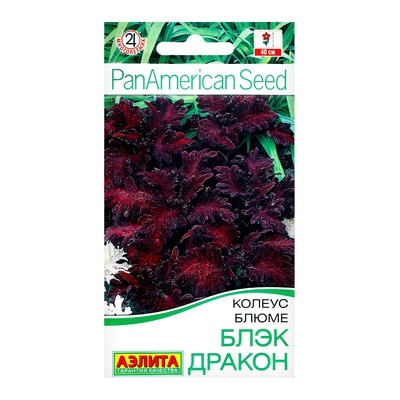 Семена цветов Колеус блюме "Блэк дракон", ц/п, 5 шт