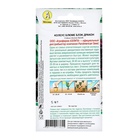 Семена цветов Колеус блюме "Блэк дракон", ц/п, 5 шт - Фото 2