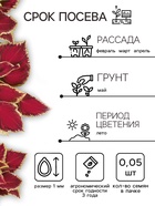 Семена цветов Колеус блюме "Райнбоу" смесь сортов, ц/п, 0,05 г - Фото 2
