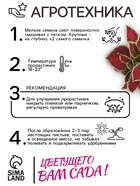 Семена цветов Колеус блюме "Райнбоу" смесь сортов, ц/п, 0,05 г - Фото 3