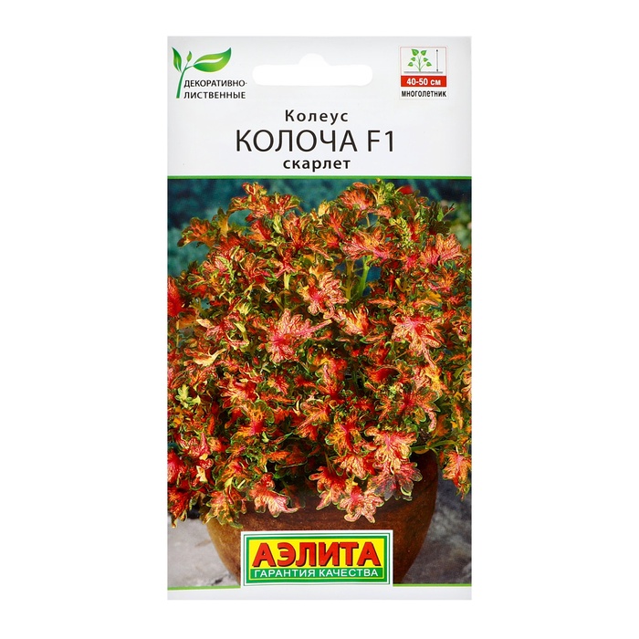 Семена цветов Колеус "Колоча" F1 скарлет, ц/п, 5 шт - Фото 1