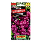 Семена цветов Левкой карликовый "Дюймовочка" фиолетовый, ц/п, 0,1 г - фото 322276073