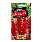 Семена цветов Люпин "Алые паруса" многолетний, ц/п, 15 шт - Фото 1