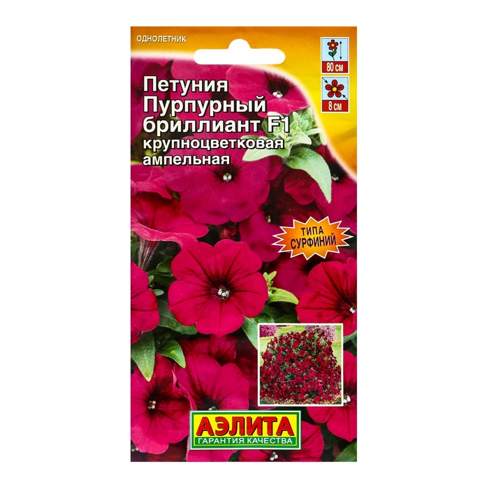 Семена цветов Петуния "Пурпурный бриллиант" F1 крупноцветковая, ампельная, ц/п,  5 шт - Фото 1