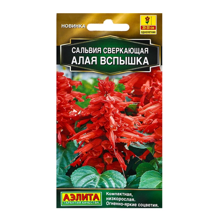 Семена цветов Сальвия сверкающая «Алая вспышка», 15 шт., «Аэлита Агро» - Фото 1