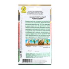 Семена цветов Сальвия сверкающая «Алая вспышка», 15 шт., «Аэлита Агро» - Фото 2