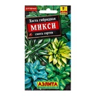 Семена цветов Хоста "Микси" смесь сортов, ц/п, 7 шт - Фото 1