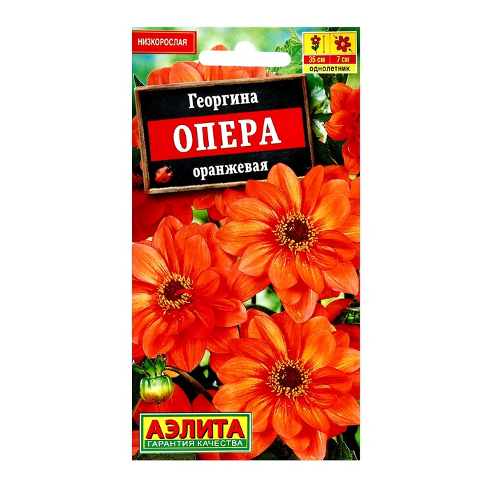 Семена цветов Георгина "Опера" оранжевая, ц/п 7 шт - Фото 1