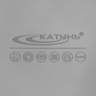 УЦЕНКА Котёл из нержавеющей стали «Общепит», 50 л, d=50 см, h=29 см, капсульное дно, индукция, ДЕФЕКТ МЕТАЛЛА - Фото 5