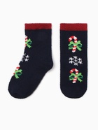 Носки женские махровые Нжмп2213-4-01, цвет МИКС, р-р 36-40 - фото 31459345