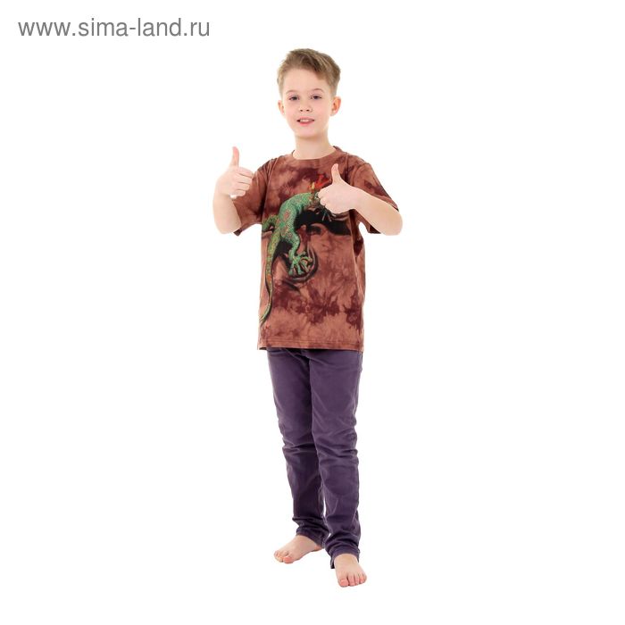 Футболка детская Collorista 3D Reptile, возраст 10-12 лет, рост 146-152 см, цвет коричневый - Фото 1