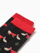 Носки женские "Таксы" нжнг7739, цвет МИКС, р-р 36-40 - фото 31459399