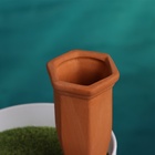 Ороситель «Терракот», 13.8×4.8см, набор 4 шт. - фото 809196678