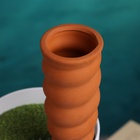 Ороситель «Спираль», 16.2×5см, набор 4 шт. - фото 809196685