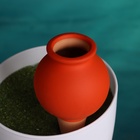 Ороситель «Кувшинчик», 11.5×6.5см, цвет МИКС, набор 4 шт. - фото 809196688