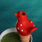 Ороситель «Птичка», 16.5×8.5см, цвет МИКС, набор 4 шт. - фото 809196694