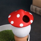 Ороситель «Грибочек», 16.5×7см, цвет МИКС, набор 4 шт. - фото 809196697