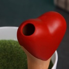 Ороситель «Сердечко», 14×4.6см, цвет МИКС, набор 4 шт. - фото 809196700