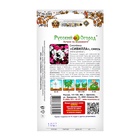 Цветы Смолевка Сивилла (10шт) - Фото 2