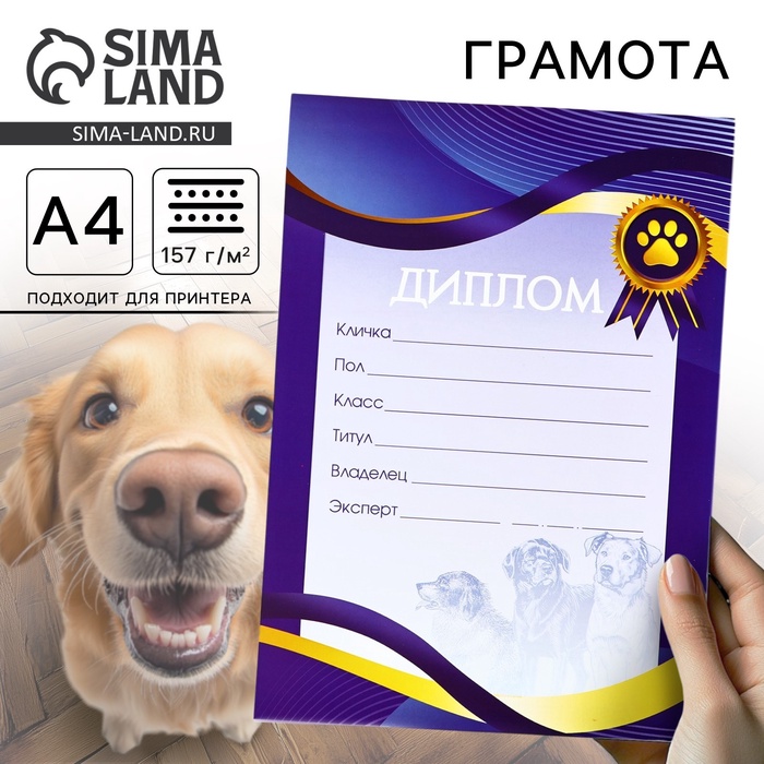 Грамота А4 «Выставка собак»