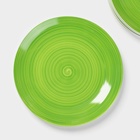 УЦЕНКА Набор тарелок Доляна «Палитра», d=26.5 см, фарфор, 6 шт., зелёный - Фото 3