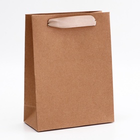 Пакет крафт без печати, вертикальный, 15?7?20 см 260 г/м? (комплект 5 шт)