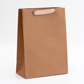 Пакет крафт без печати, 20?10?28 см 260 г/м? (комплект 5 шт)
